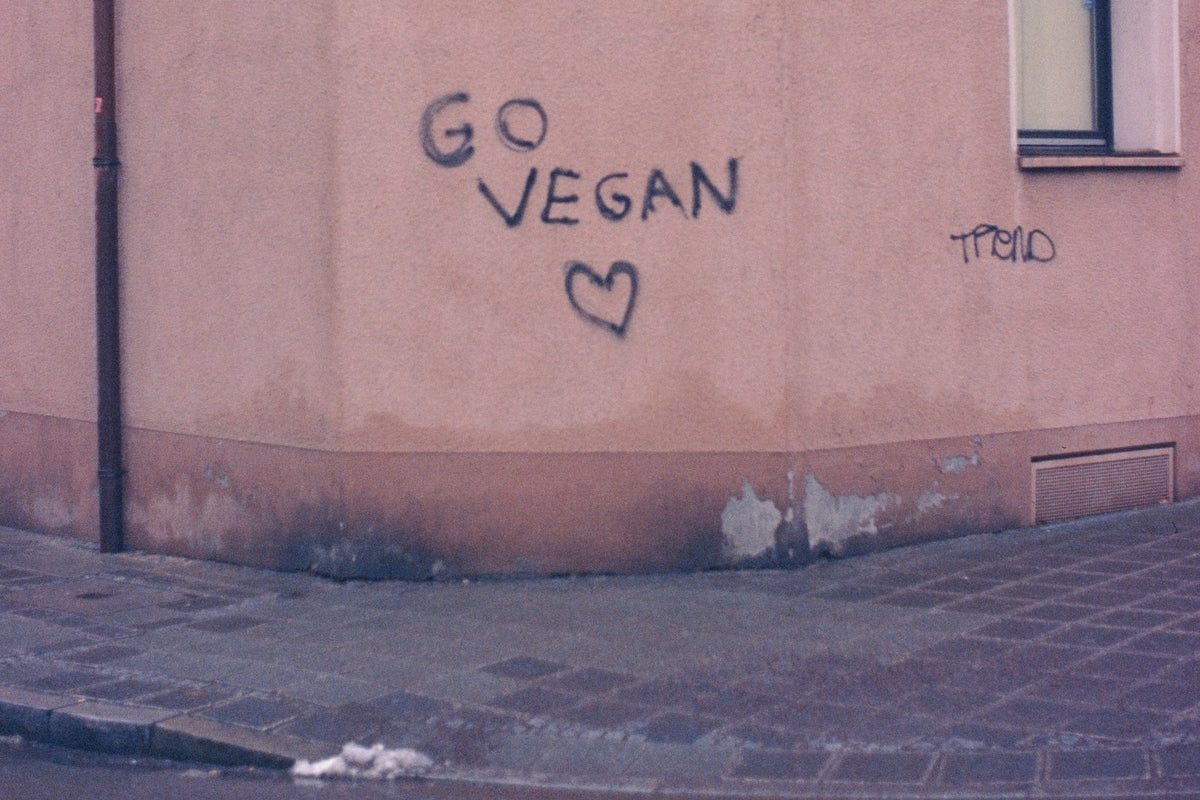 Foto eines Graffity mit dem Schriftzug: "Go vegan" an einer Hauswand.
