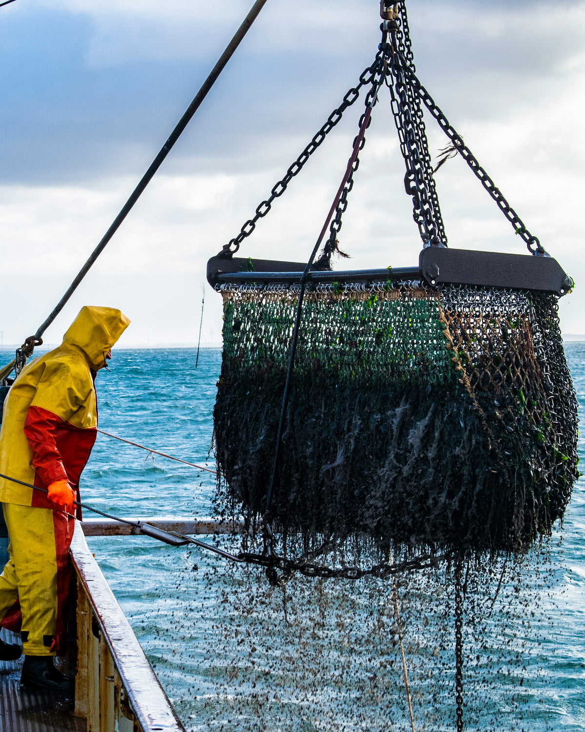 Hochseeangler auf einem Schiff, der ein Netz mit vielen Kilogramm Fisch aus dem Meer zieht.