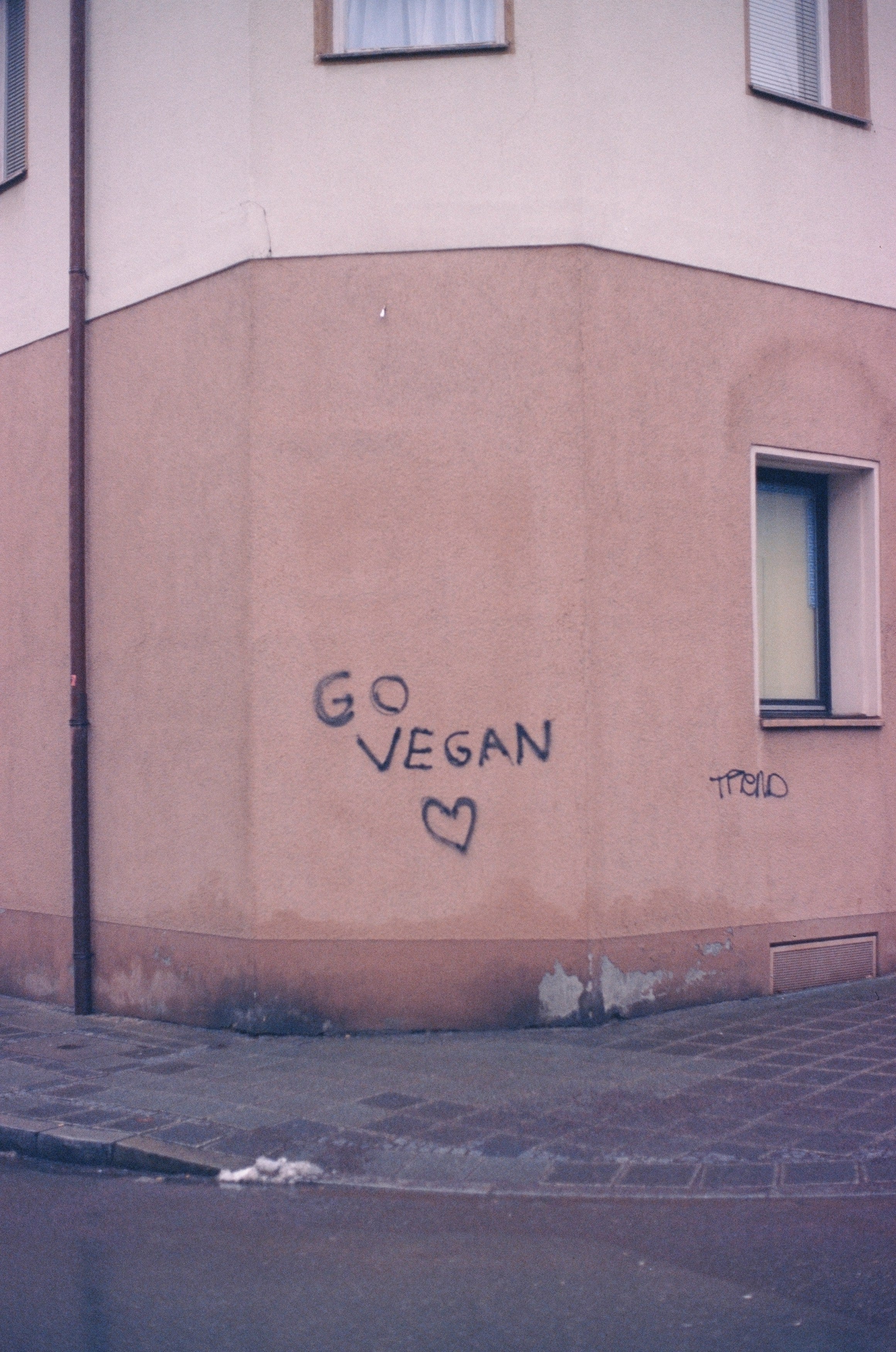 Foto eines Graffity mit dem Schriftzug: "Go vegan" an einer Hauswand.