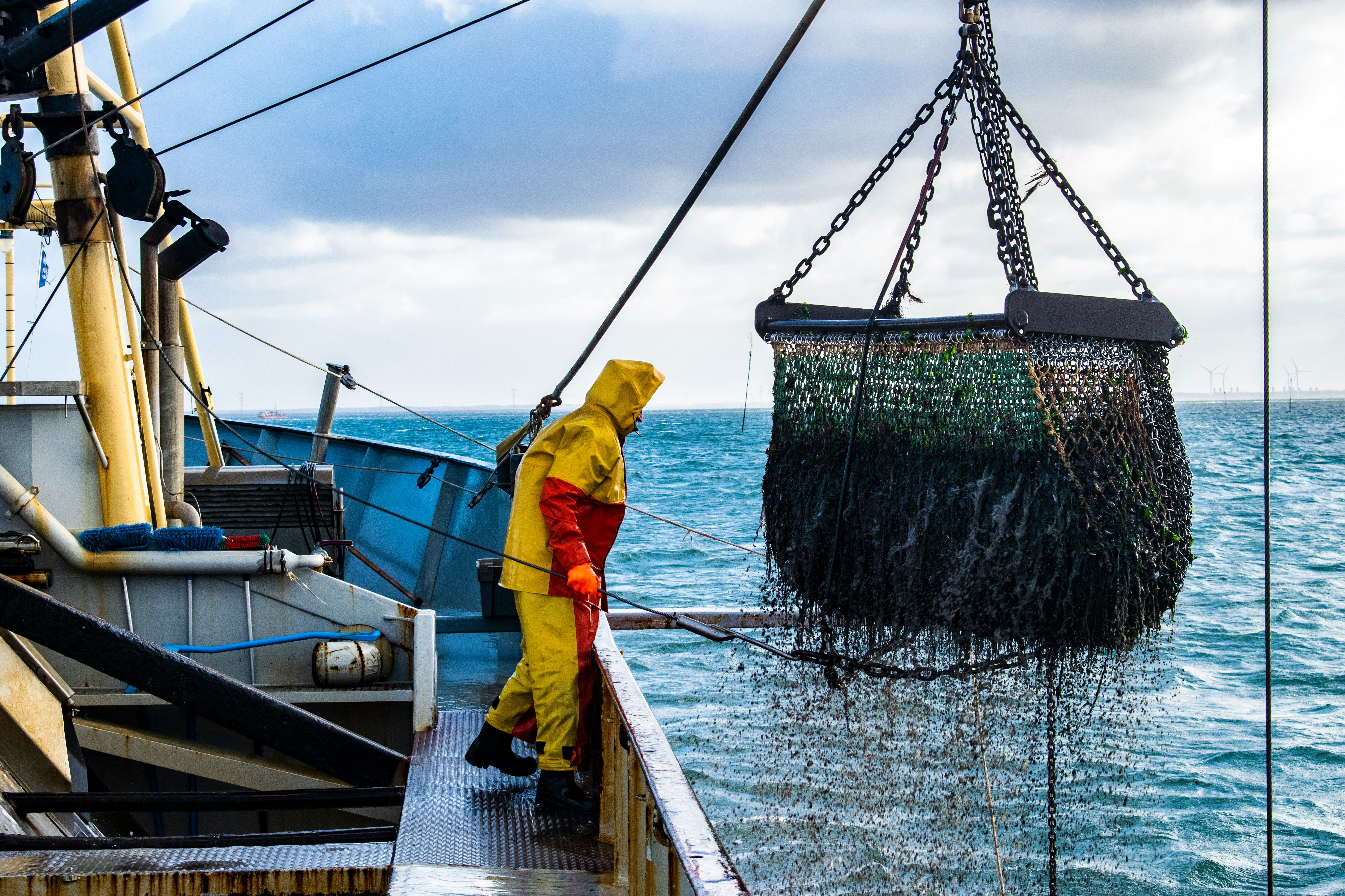 Hochseeangler auf einem Schiff, der ein Netz mit vielen Kilogramm Fisch aus dem Meer zieht.